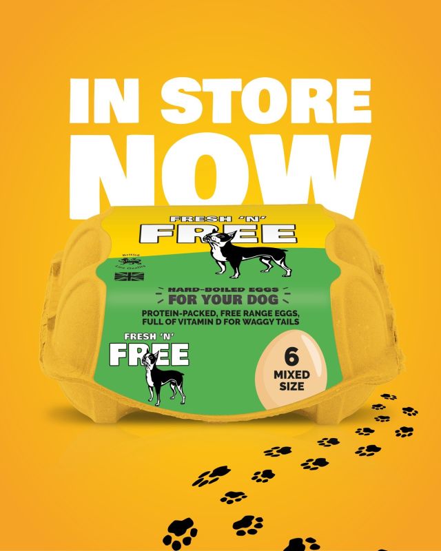 Sit! Paw? Good boy 👏🏻 🐶
Protein-packed hard-boiled eggs for your pooch are now available in stores – that’s something to get tails wagging!

#Dogtreats #DogsDinner #NaturalDogFood #DogFood #Pamperedpooch #AprilFools