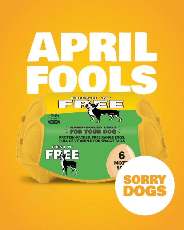 Who let the dogs out?! 🥚🐾
Looks like we had you barking up the wrong tree! We know you were ready to fetch our 'Eggcellent eggs for pooches' this April Fools' Day, but alas, it was just a tail-wagging prank! 🤪🐕

Thanks for being such good sports! Remember, the only thing we're cracking are jokes – not eggs!