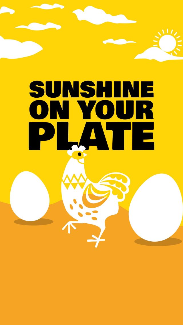 Sunshine wrapped in a shell 🥚🍳
Yes that’s us! Our super-plump yellow yolks are perfected by our happy go clucky girls who spend their day exploring, grazing, and chilling. Sounds fun ‘ey?

Hit the link in our bio for more information, feel-good recipes, and your local stockist.