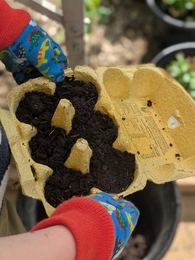 Hip Hip Horray - It’s National Children’s Gardening Week and the sun is shining.

Before you recycle your old FREE egg boxes, why not turn them into mini seed trays for a little family gardening fun? Perfect for tiny hands, muddy fingers and watching something grow together.

Fill each FREE egg box with soil, plant your seeds and pop them somewhere sunny. This will be eggs-tra fun for the half term holidays.

From gardens to windowsills and balconies, you can grow a little seed anywhere.